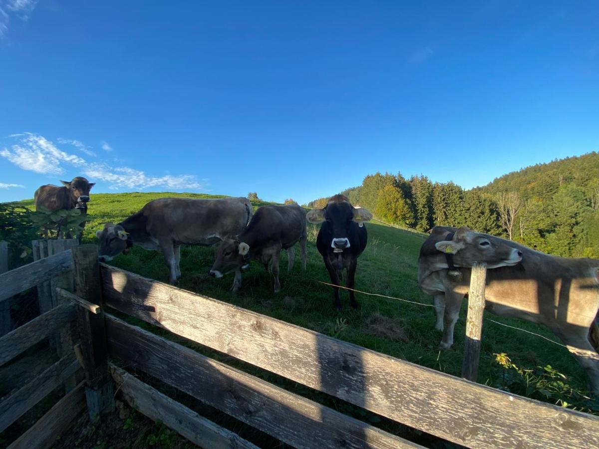 Ferienwohnung Bergblick Wangen Im Allgaeu Mit Garten, 2022 Komplett Renoviert 외부 사진