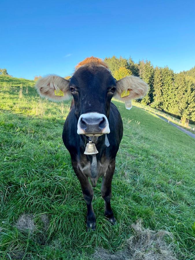 Ferienwohnung Bergblick Wangen Im Allgaeu Mit Garten, 2022 Komplett Renoviert 외부 사진